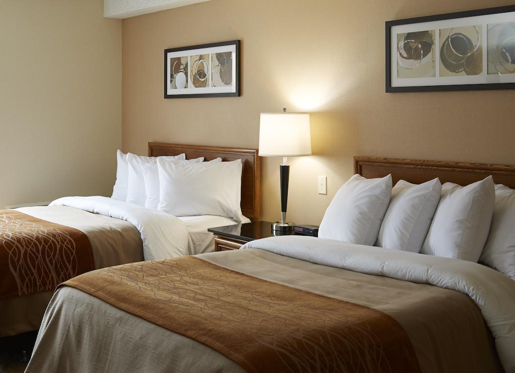 Comfort Inn East Монктон Экстерьер фото