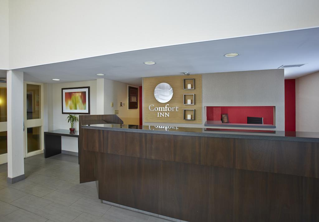 Comfort Inn East Монктон Экстерьер фото